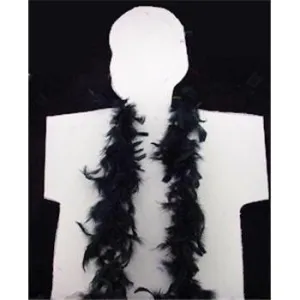 Black Feather Boa