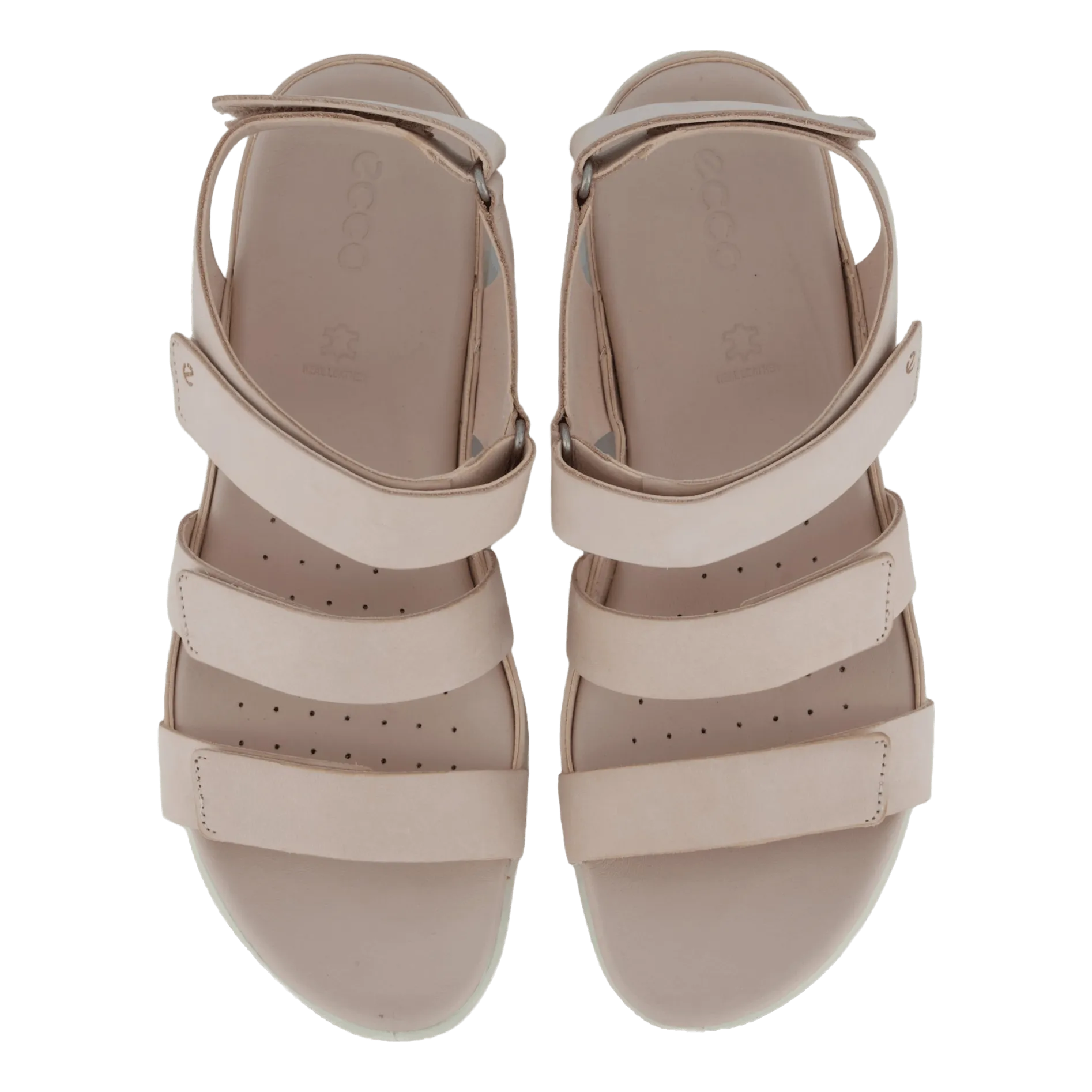 Ecco Flash Rose Dust