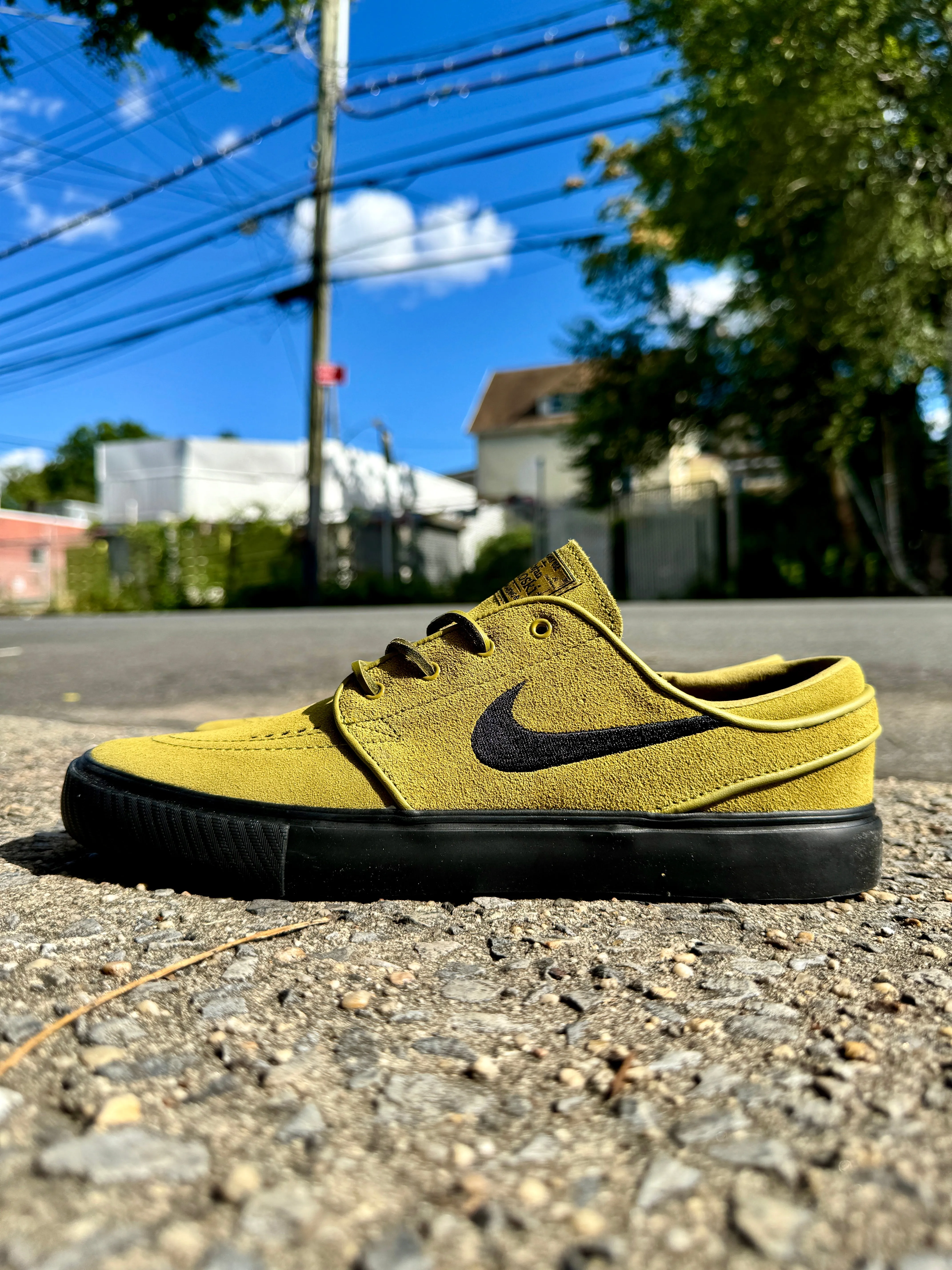 Nike SB Janoski Pacific Moss