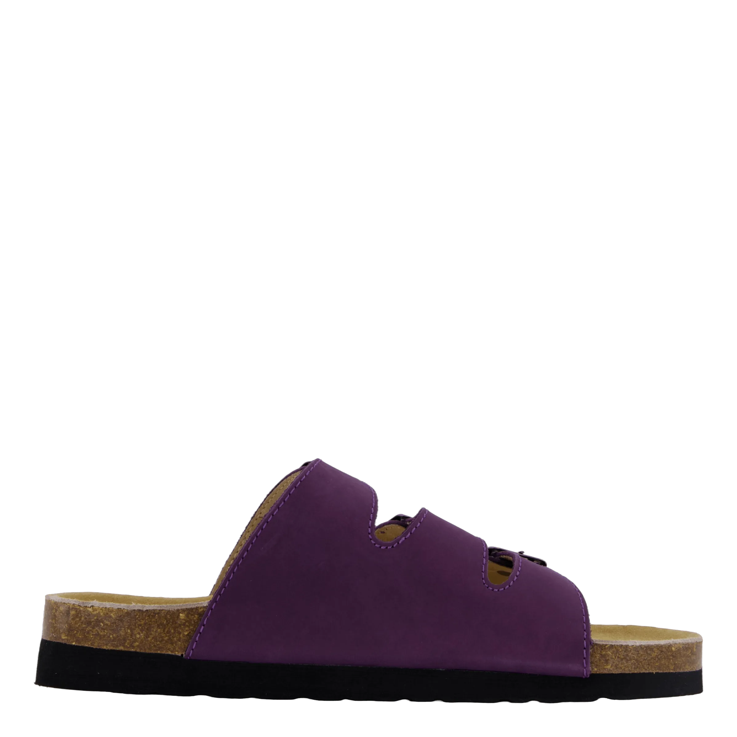 Shell Purple Heart