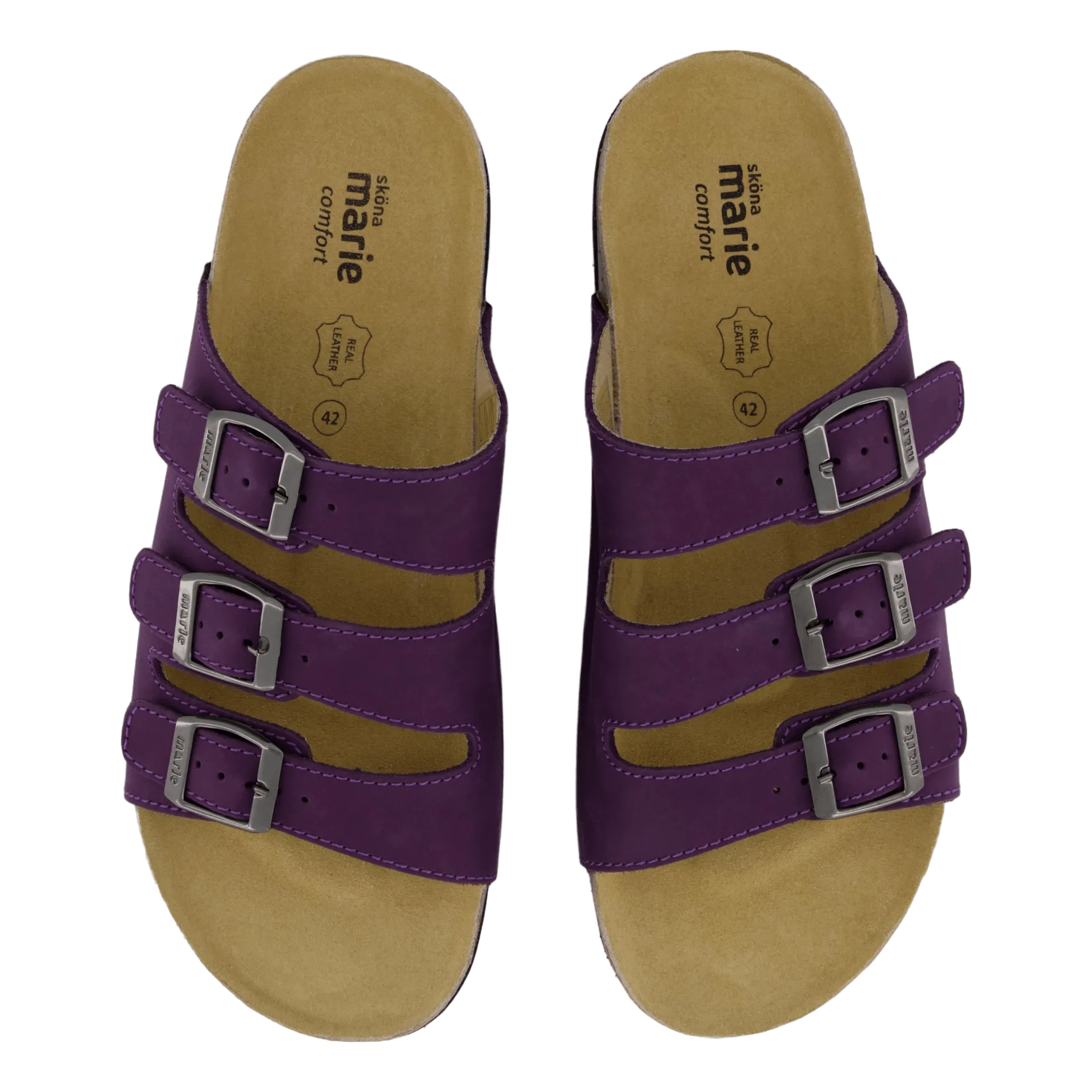 Shell Purple Heart