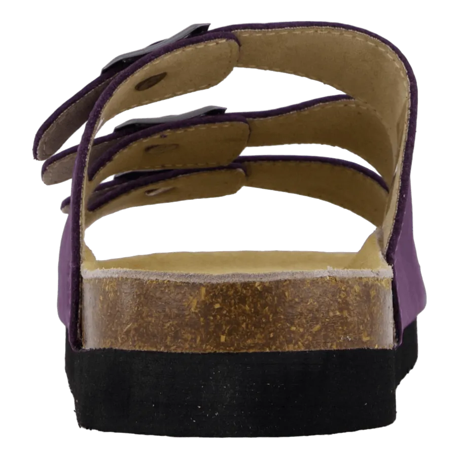 Shell Purple Heart
