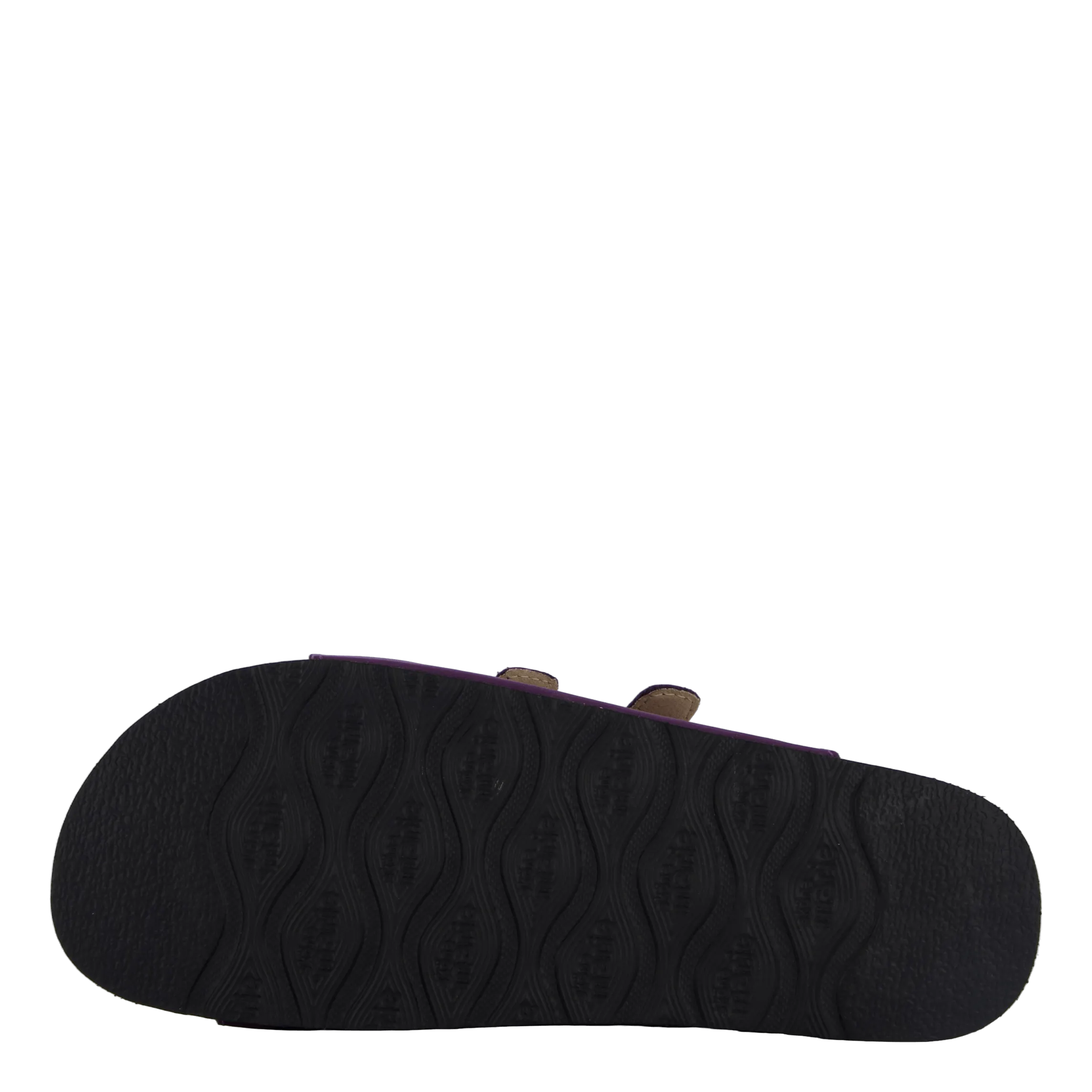 Shell Purple Heart