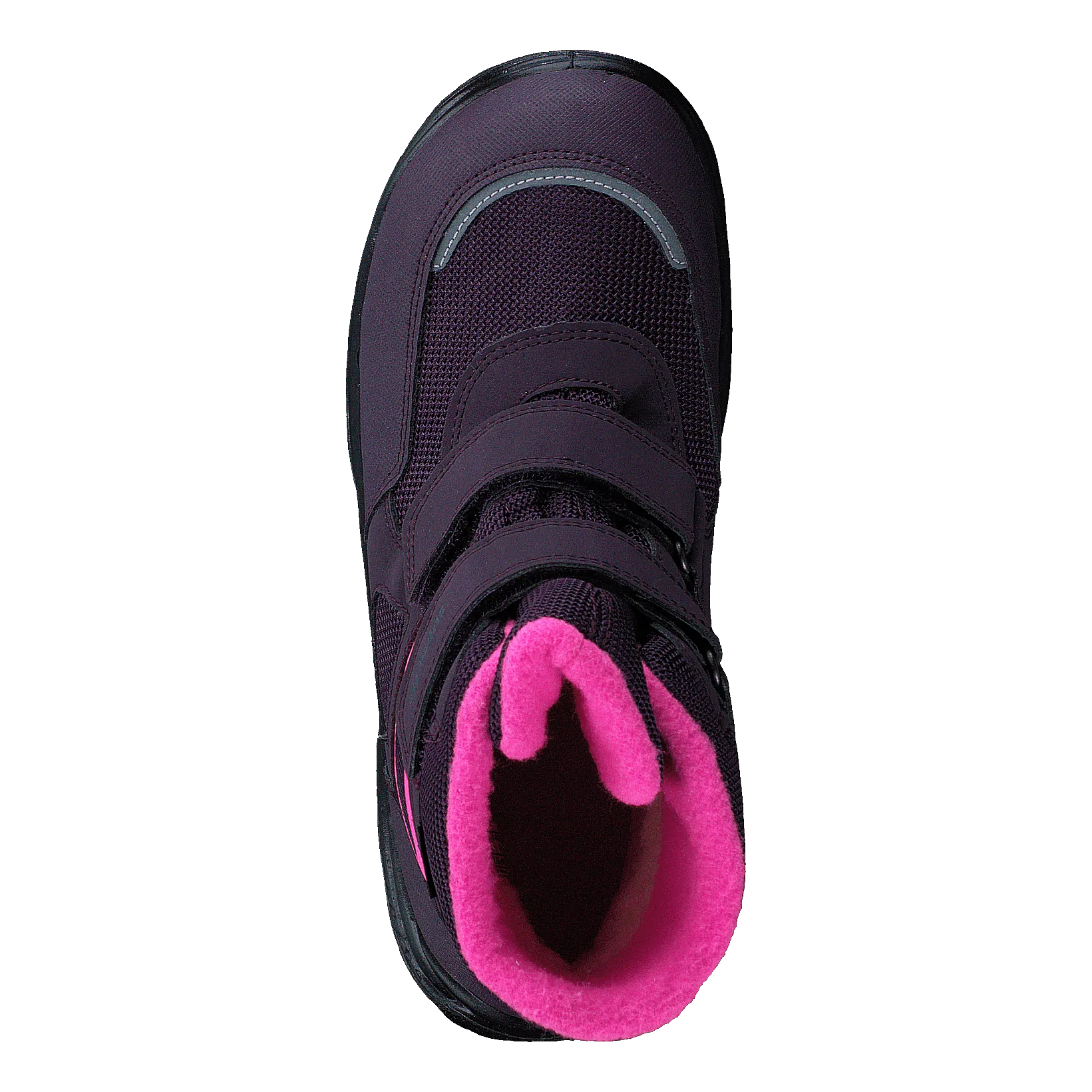 Snowcat Purple