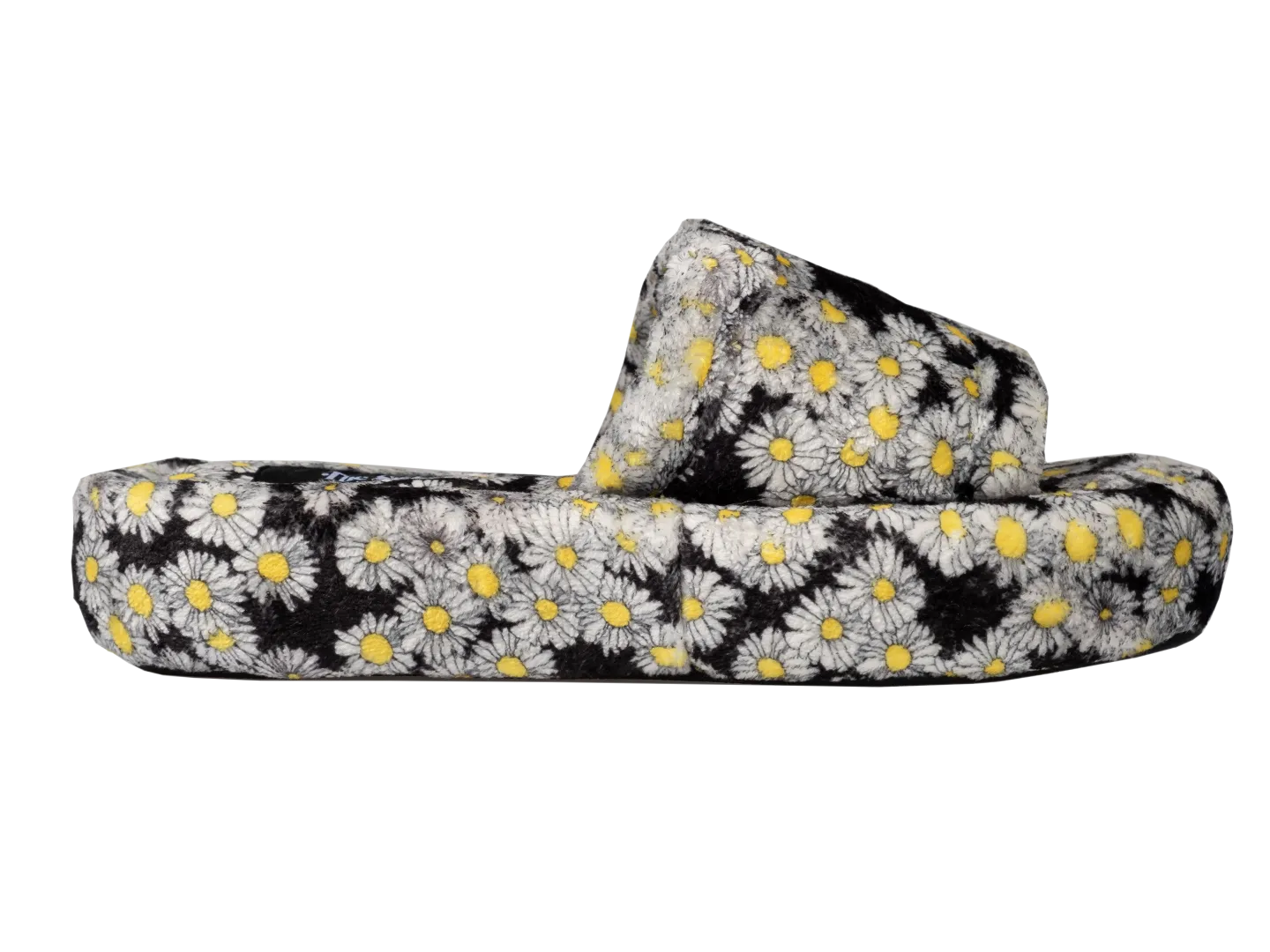 The Daisy Slides.