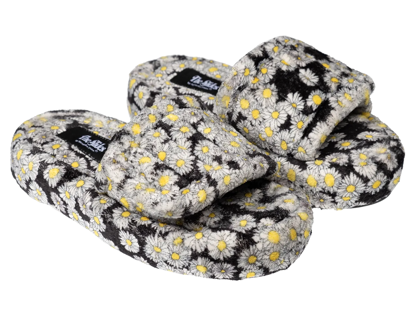The Daisy Slides.