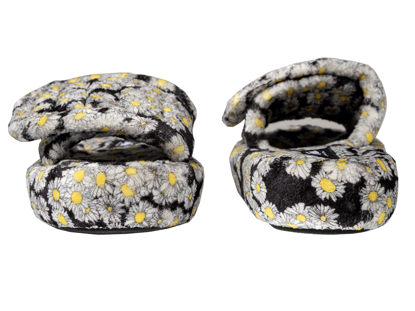 The Daisy Slides.