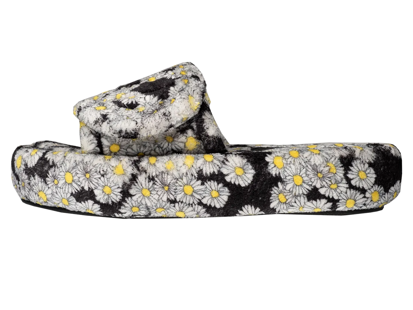 The Daisy Slides.