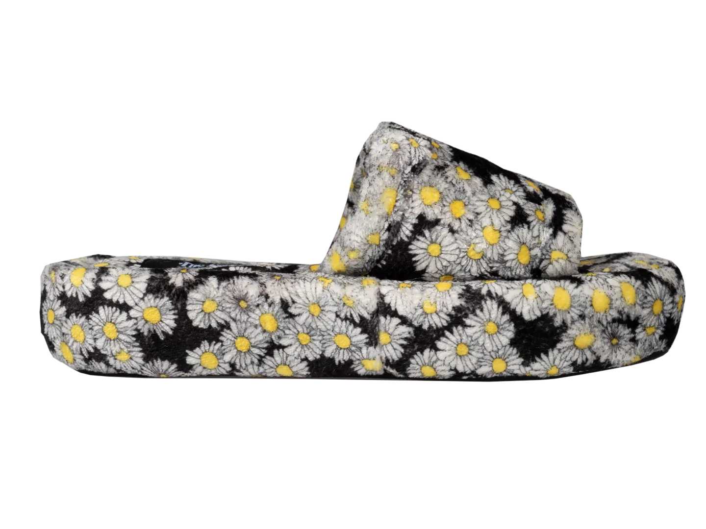 The Daisy Slides.