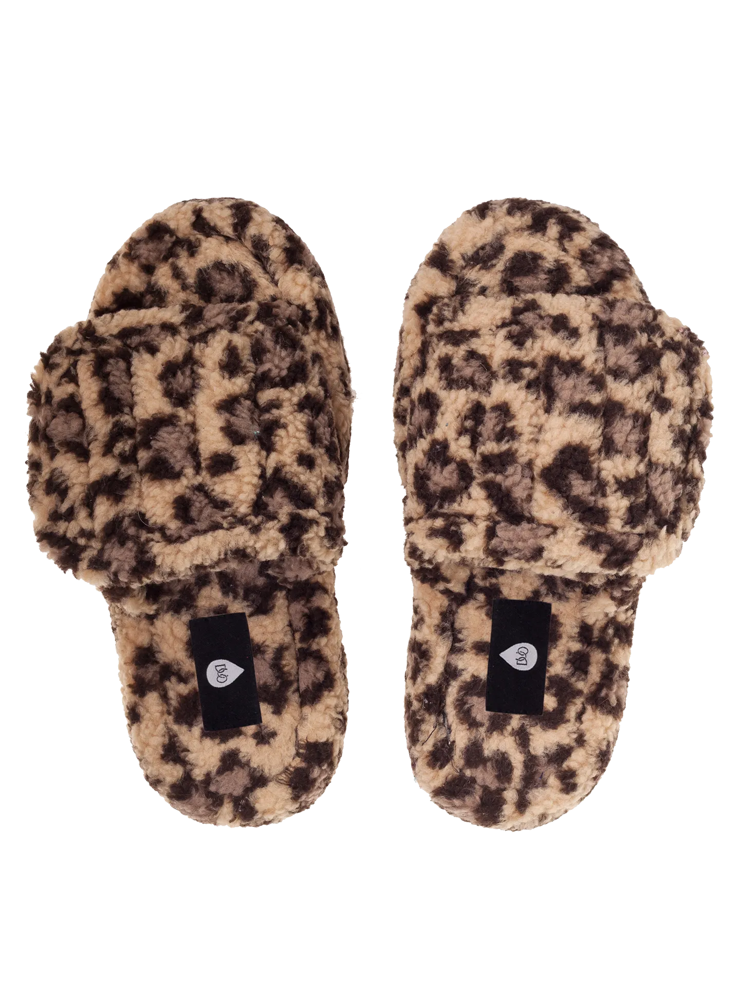 The Leopard Slides.