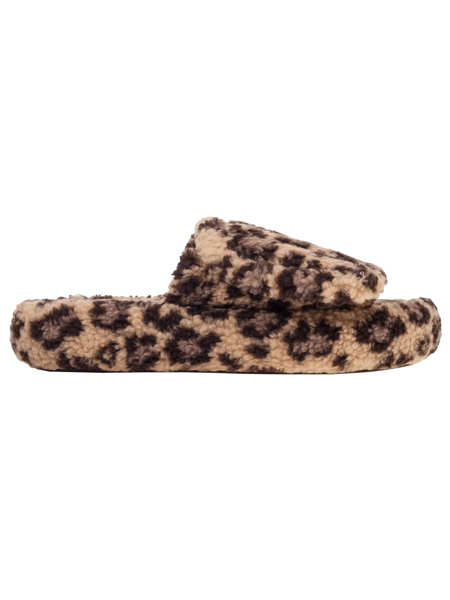 The Leopard Slides.