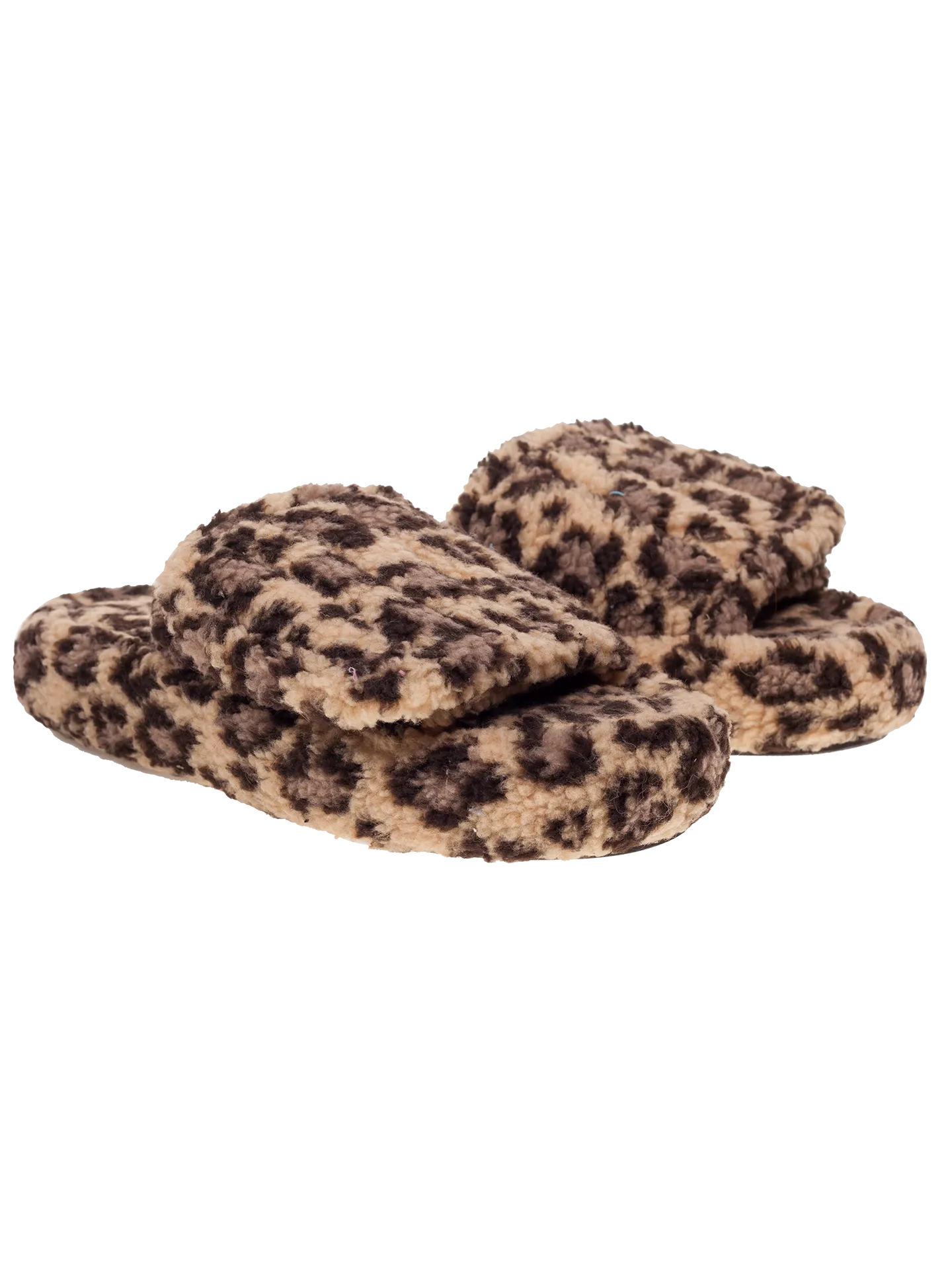 The Leopard Slides.
