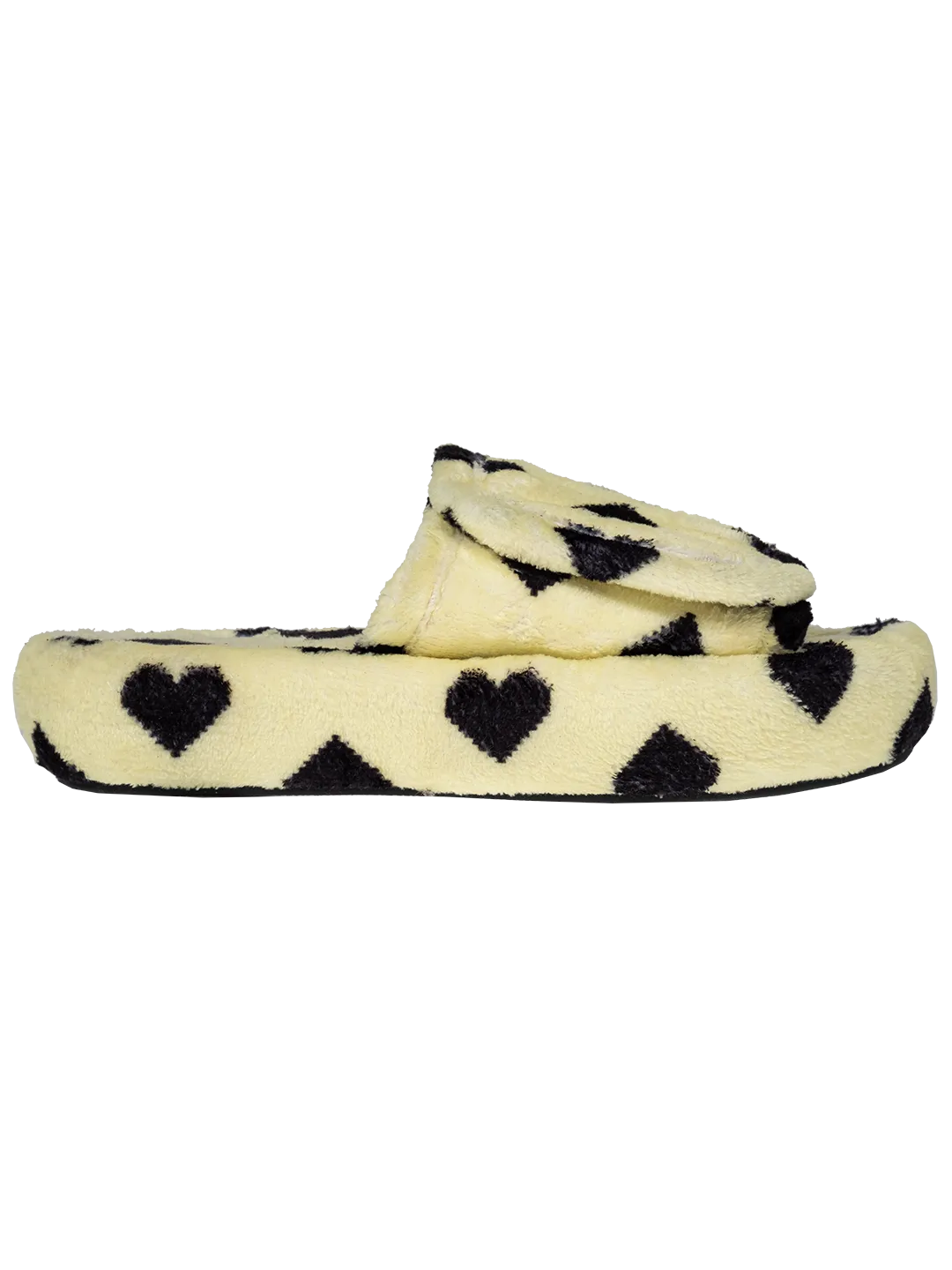 The Pixel Heart Slides.